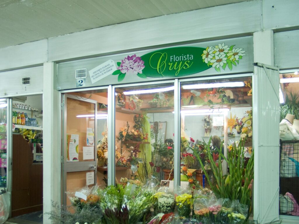 136007 209301112537829 808323131 o