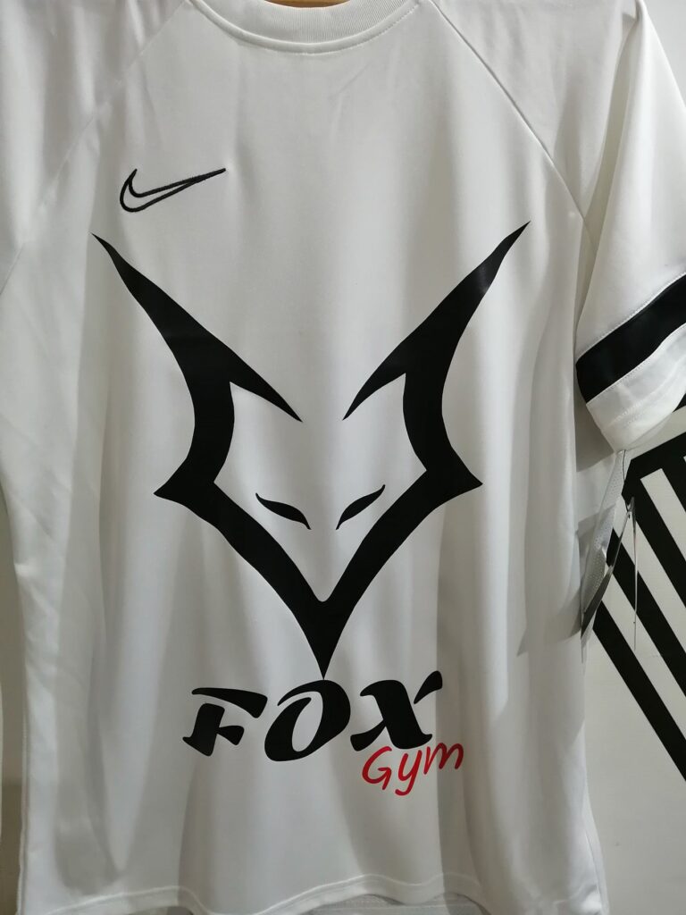 481061482 2955240197970819 1483974114210667806 n