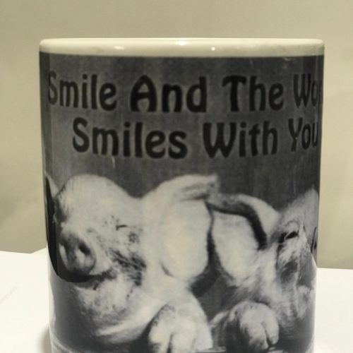 whatsapp image 2020 11 30 at 14.57.56